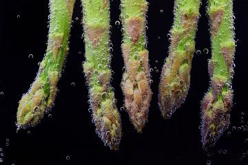 Groene asperges onder water
