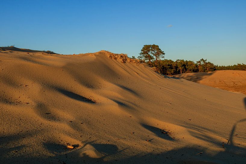 Der Rand der Wüste von Bert Broekhuis