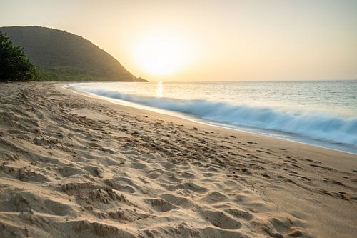 Plage de Grande Anse op Guadeloupe, een droomachtig zandstrand