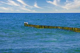 Groyne in Zingst aan de Oostzee. De kribben reiken tot in de zee van Martin Köbsch