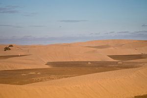 Spanien Dünen von Maspalomas Gran Canaria