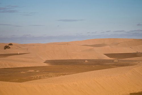 Spanje de duinen van Maspalomas in de avond Gran Canaria