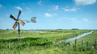 Landschap met windmolen