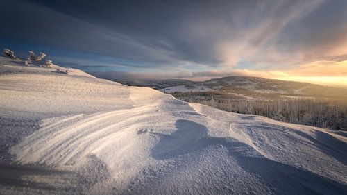 Winter view in the Harz Mountains