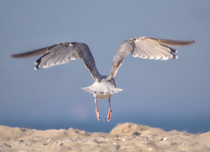 perfecte landing van natascha verbij