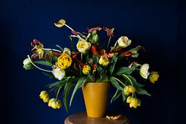 Blue and Yellow Still Life of Tulips