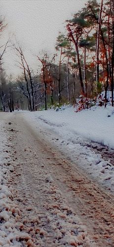 Winter Path – Into Silence