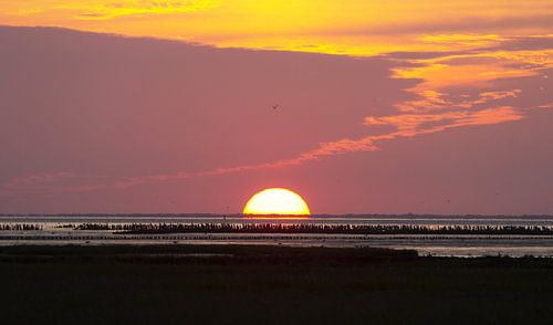 Zonsondergang waddenzee