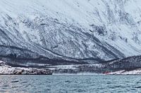 Norwegian charm - Cozy red house in Norway