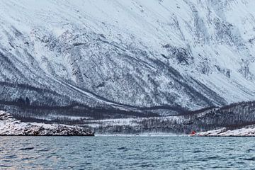 Norwegischer Charme - Gemütliches rotes Haus in Norwegen von Dennis en Mariska