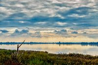 The Oostvaardersplassen in autumn.