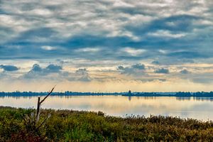 Die Oostvaardersplassen im Herbst.