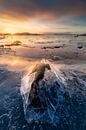 Broken ice around a stone during a beautiful sunrise along the coast of Sweden. by Jos Pannekoek thumbnail