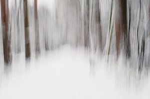 Neige dans la forêt en mouvement dans des couleurs de terre douces