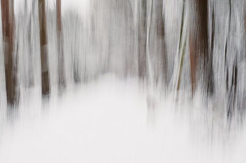 Schnee im bewegten Wald in sanften Erdfarben