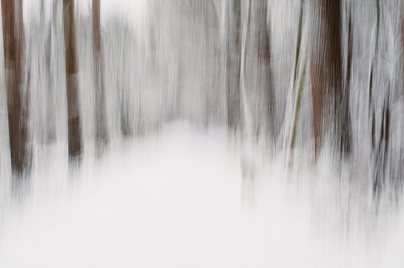Snow in the moving forest in soft earth colours by Imaginative