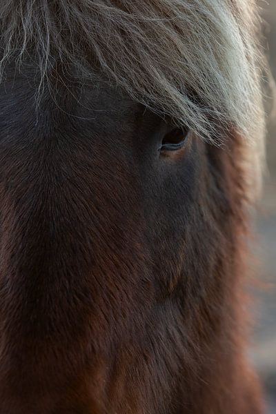 more in Iceland by PeetMagneet