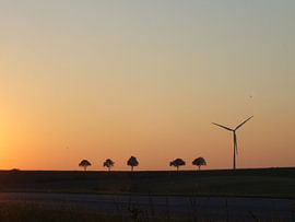 Weinviertel 02  by Ilona Picha-Höberth