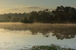 Erste Sonnenstrahlen auf dem Oisterwijker Ried