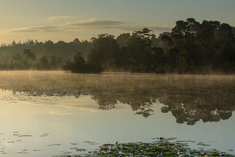 First sunrays on the Oisterwijk Fens by Leo Kramp Fotografie