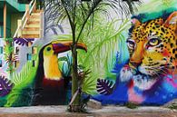 Mural Mexico by Berg Photostore thumbnail