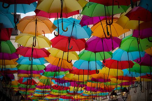 Gekleurde paraplu's in een straat