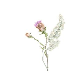 Kunsttrocknende Blume.