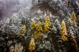 Herfst in de bergen by Berend-Jan Bel