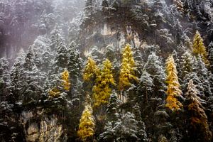 Herfst in de bergen von Berend-Jan Bel