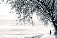 Winterwandeling by Bob Bleeker thumbnail