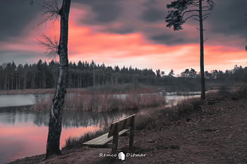 Rast am Lonneker See: Bank am Wasser