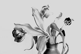 Tulpen in Schwarz-Weiß, ausdrucksstarkes Bild, modern, kraftvoll und doch ruhig von Ria Bense