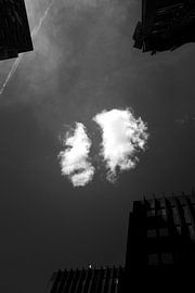 Look up! van Jan Okkerse