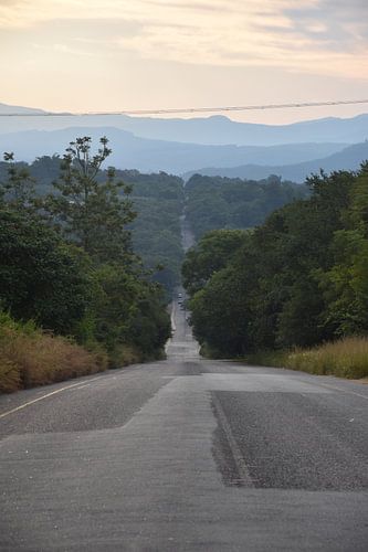 Bestemming onbekend von Vincent Dekker