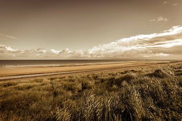 Beach coast Normandy France by Rob van der Teen