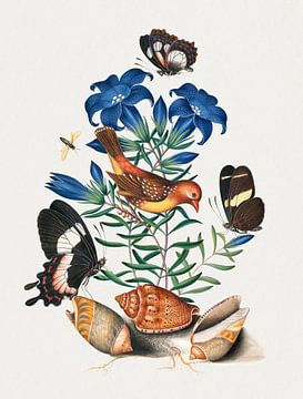 Vogel, vlinder, botanische bloem, aquarel, geremixt van kunstwerken van James Bolton van Studio POPPY