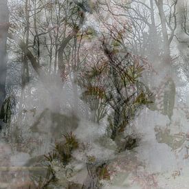 Abstracte fotografie | Fine Art Nature | Winterlandschap I van Art. by Janine
