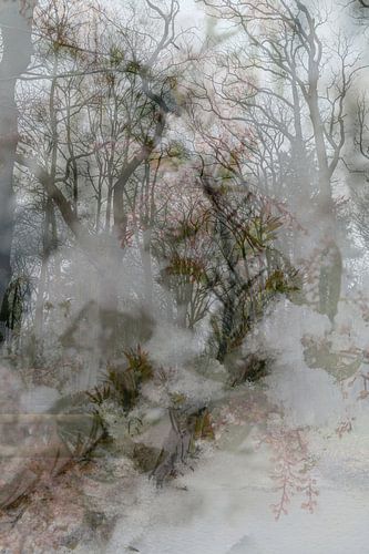 Abstracte fotografie | Fine Art Nature | Winterlandschap I