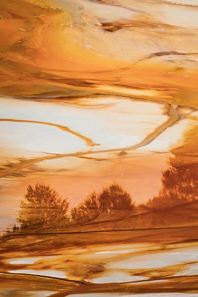 Bruin Abstract van Owolan Art