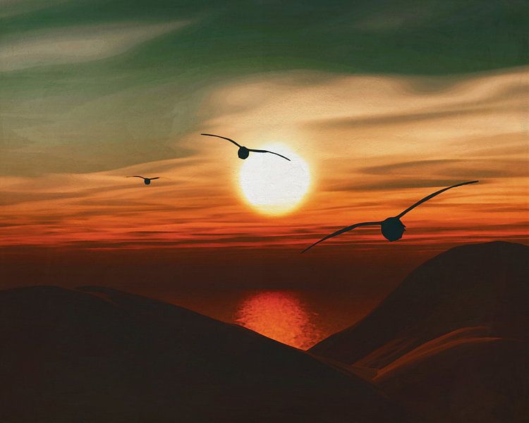 Mouettes au coucher du soleil 6 par Jan Keteleer