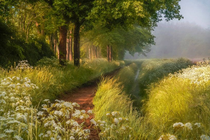 Frühling in Holland von Lars van de Goor