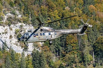 Zwitserse Eurocopter AS 532UL Cougar (T-314). van Jaap van den Berg