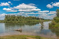 Nationalpark the Biesbosch