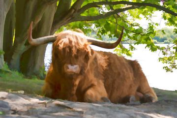 Highland Cow van Peter Bartelings