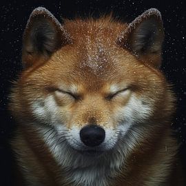 Shiba Inu thinks by DNH Expressions