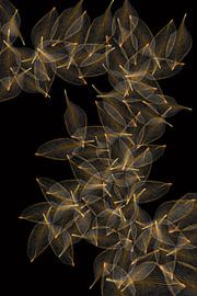 laisse dans la lumière sur Klaartje Majoor