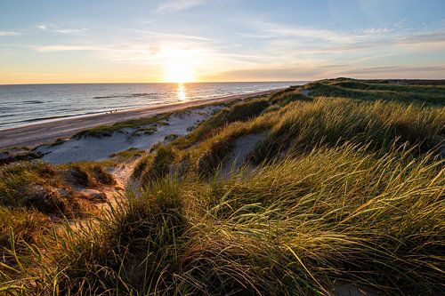 Sonnenuntergang über den Dünen