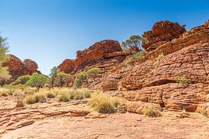 Kings Canyon - Australië van Troy Wegman