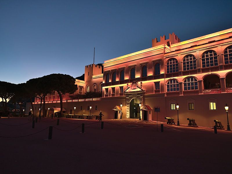 Palais Princier van Timon Schneider