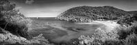 Bucht mit Strand auf der Insel Ibiza in schwarzweiss .
